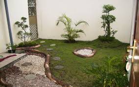 Oleh sebab itu tanaman pakis aji sangat cocok untuk menghiasi taman minimalis yang anda buat. Memilih Tanaman Taman Minimalis Okezone Economy