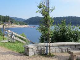 Das ferienhaus liegt am wunderschönen ellertshäuser see in unterfranken. Ein Ferienhaus Am Schluchsee Mieten Ferienhaus Am See