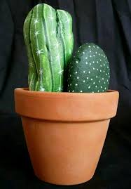 Tas Boyama Goruntuler Ile Kaktus Yaratici Bitki