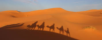 But to take a large hoe and a shovel also, and dig till you gently perspire Camel Trek Across Morocco S Sahara Lets Tourists Experience Mystery And Thrill Of Desert Masslive Com