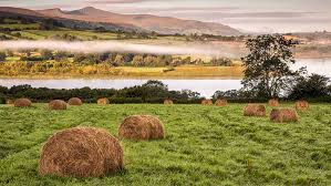 Find the perfect wales countryside welsh stock photo. Wales Doesn T Want Further Rights To Roam The Countryside Poll Says Farmers Weekly