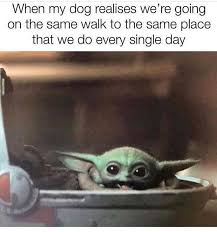 We just get to be there to witness it. 18 Baby Yoda Memes To Make Your Day More Adorable