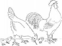 Drawing Of Hen And Chicks Bing Images Bird Coloring Pages Fox Coloring Page Animal Drawings