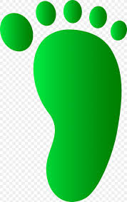 We offer you for free download top of dinosaur footprint clipart pictures. Dinosaur Footprints Reservation Clip Art Png 2791x4461px Dinosaur Footprints Reservation Ankle Area Drawing Foot Download Free