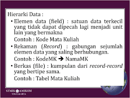 Hierarki data data harus disusun secara teratur agar pengolahannya dapat dilakukan dengan baik dan efisien. Data Database Dan Informasi Ppt Download