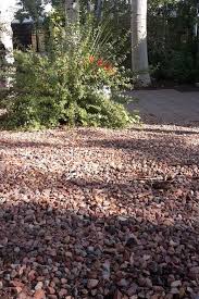 Roter Splitt Im Ziergarten Gartenideen Grune Pflanze Am Gehweg Ideen Zum Nachmachen Gartengestaltung Gartendekoration Gartendesign Ideen