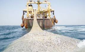 Alat tangkap sungkur digunakan secara aktif dengan cara di dorong untuk menangkap udang dan ikan, untuk memperoleh hasil tangkapan yang optimal diperlukan sarana kapal yang sesuai dengan sifat. Selesaikan Konflik Antar Nelayan Bupati Batubara Bentuk Satgas Zulnas Com