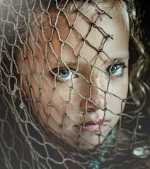 Photo of the Quarter