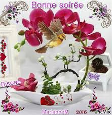 RÃ©sultat de recherche d'images pour "image de bonne soirÃ©e et douce nuit"