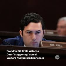 Brandon Gill pressed witnesses with numbers showing Somali households in  Minnesota are far more likely to be