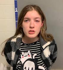 Woman hit Herrin officer with car as she fled scene, police say