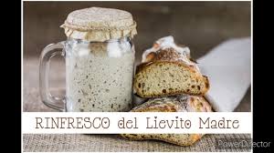 Maybe you would like to learn more about one of these? Rinfresco Del Lievito Madre Youtube