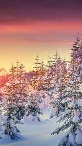 Superheroes, dc comics, 8k, dark background, minimal, superman. Wallpaper Pines 5k 4k Wallpaper 8k Snow Sunset Winter Nature 5293