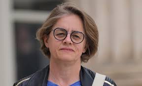 Céline Thiébault-Martinez : une députée féministe experte en protection  sociale