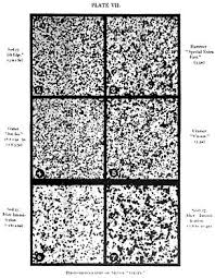 Grain Size Revolvy