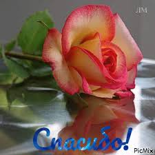 ������� - ���������� ������������� ����� - PicMix