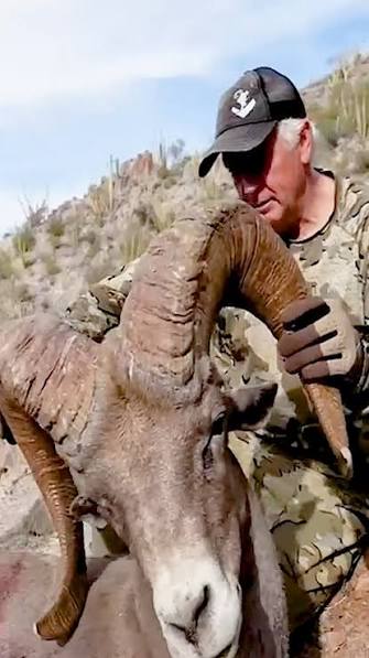 One Of The Longest Hunting Shot In History Mountain Goat 🐐 Hunting #MountainGoatHunting #goathunting #riflehunting #hunting #huntingvideo