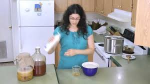 Place a piece of ripe banana or any fruit inside the oven and leave the door open. Homemade Fruit Fly Trap Youtube