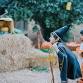 Pumpkin Path  - Halloween Festival event image