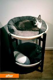 Before After Ikea Tray Table To Double Decker Cat Bed Cat Proofing Ikea Hacks For Cats Cat Bed