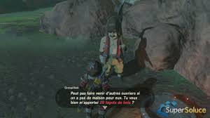 Le marché de la sécurité privée est en plein boom auprès des particuliers comme des professionnels. Une Affaire En Plein Essor Soluce The Legend Of Zelda Breath Of The Wild Supersoluce