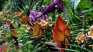 Maybe you would like to learn more about one of these? 5 Secrets To Creating Spectacular Tropical Gardening Designs Jimsmowing Com Au
