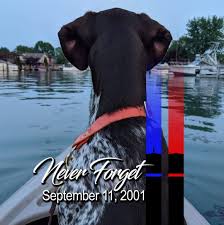 German shorthaired pointer puppies michigan rescue. Southeast Michigan Bird Dog Rescue Home Facebook