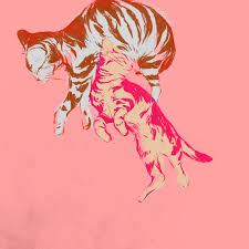 1920x1080 cats full hd wallpapers download 1080p desktop backgrounds. Cats Cats Cats Sticker For Ios Android Giphy