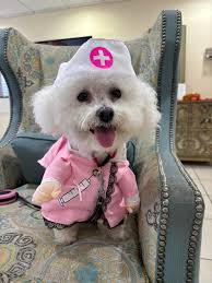 What are tips for a compassionate nurse costume?