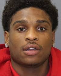 Fields sentenced for illegal weapon