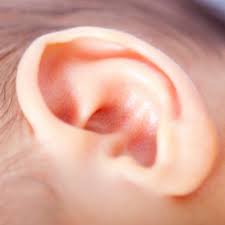Ruptured eardrums can be troubling, but knowing the signs and getting care right away can get your eardrums back to top condition in no time. Ear Trauma Emergencies Montreal Children S Hospital