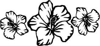 The aloha shirt, also referred to as a hawaiian shirt. Hawaiian Flower Coloring Page Novocom Top