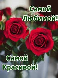 я не отдам тебя ни за что и никому Pin By Rosemary Sanchez On Ya Tebya Lyublyu Flowers Rose Plants