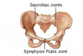 Pin On Resources For Pelvic Issues During Childbirth Postpartum