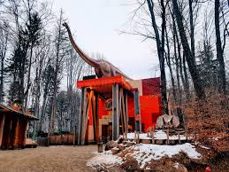 Nu se percepe tarif de vizitare ; Plimbare La Munte De La Cetatea Rasnov La Poiana Brasov Travel Eating