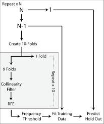 Flowchart Of Classification Process At Each Leave One Out