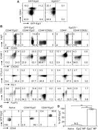 Coin master daily rewards, coin master free spin link note: Egr2 And 3 Control Inflammation But Maintain Homeostasis Of Pd 1high Memory Phenotype Cd4 T Cells Life Science Alliance