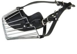 Metal Kopek Agizligi Xlarge Kopek Urunler Metal
