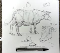 Scribbles Cow Art Cow Illustration Animal Art