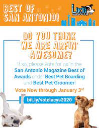 Happy scrappy mobile pet grooming. Lucy S Nominated For Best Of City 2020 Lucy S Doggy Daycare