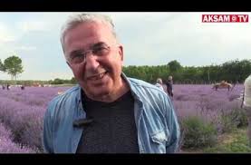 Kirac Arazilere Bugday Yerine Lavanta Ekin Onerisi Youtube Lavanta Bitki Tibbi
