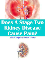 Pin On What Is Kidney Disease