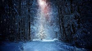 Winter Forest Background 3840x2160 Download Hd Wallpaper Wallpapertip Feel free to browse through our selection of hd wallpapers and admire winter's beauty with our gallery of winter wallpapers. winter forest background 3840x2160