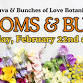 Blooms & Bulas at Alchemist Kava Bar & Lounge