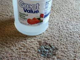 How hard is slime to remove? How To Remove Slime Carpet Cleaning Hacks How To Clean Carpet Cleaning Hacks