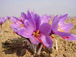 Pin On Nature