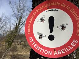 Ok, ok — this weekend's tour des alpes maritimes et du var in southern france isn't the biggest bike race on the planet. Bois Massif Archives Maison Bois Cote Sud