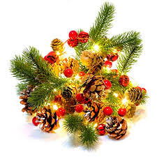 We did not find results for: Homekaren Christmas Garland Lights String 6 7ft Battery Operated With Pine Cone Red Berry Jingle Bell 20 Led For Xmas Decor Fireplace Door Tree Indoor Outdoor Buy Online In Antigua And Barbuda At