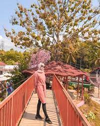 Selfie taman sakura / surabaya menjadi romantis seperti negeri sakura, warga. 10 Foto Taman Sakura Bandar Lampung 2021 Tiket Masuk Harga Sewa Baju Di Lokasi Bukit Kemiling Jejakpiknik Com