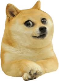 Please message u/federic0_s_2, u/dogesavior or u/alandor17 with your new pngs if you want to make sure they get added!. Cousin Kyle Dogelore Wiki Fandom